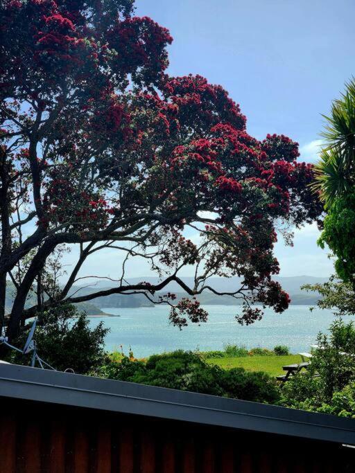 Orca Lodge Raglan Exterior foto